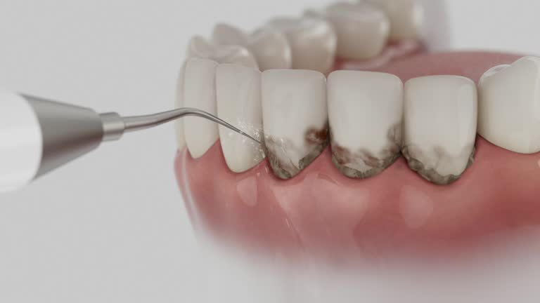Reliable Dental contractor in McClure, PA by Dentist Open Now